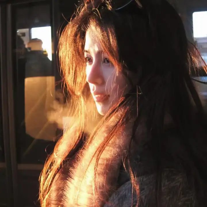 苏珊夫人寻婚计